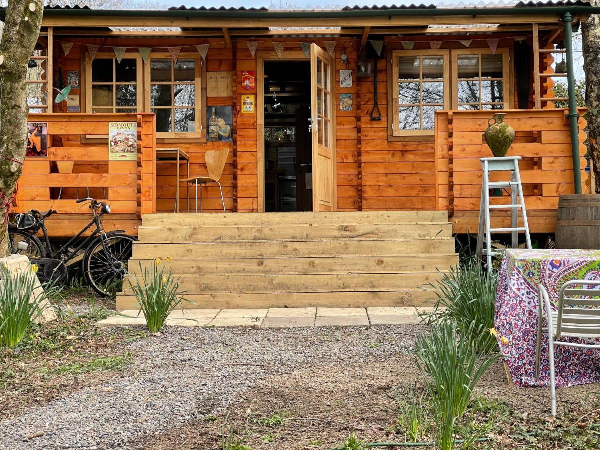 Retro Private Lodge With Hot Tub Nr Dartmoor Newton Abbot Kültér fotó
